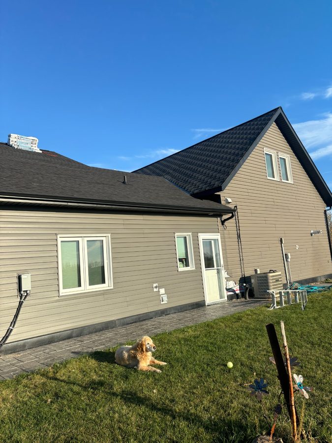 Completed dark architectural shingle roof on custom home in Saskatchewan with backyard and golden retriever